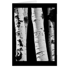 Árboles Aspen tarjeta de saludo en blanco y negro