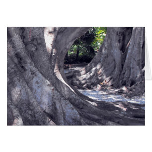 Árboles Banyan