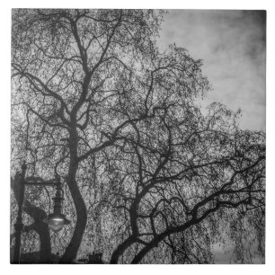 Árboles con baldosas cerámicas en blanco y negro