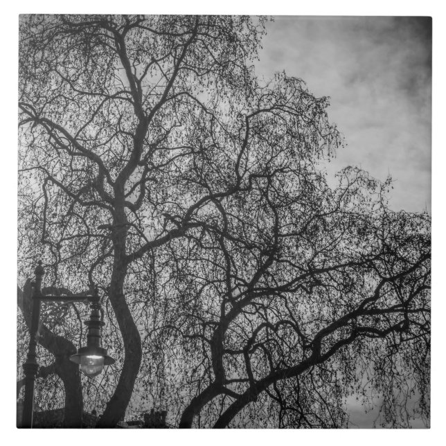 Árboles con baldosas cerámicas en blanco y negro (Frente)