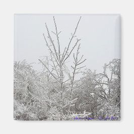 Árboles cubiertos de nieve y hielo #1 imán