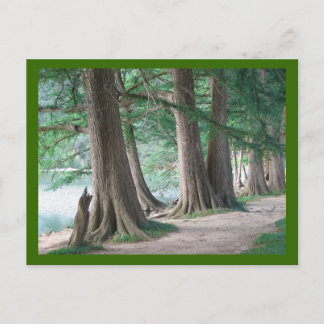 Árboles de ayer, postal