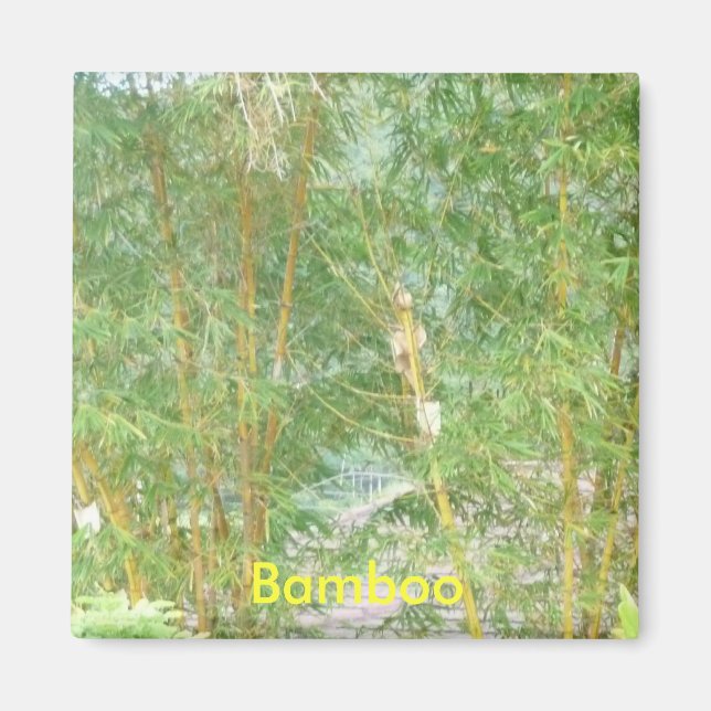 Árboles de bambú, imán de bambú (Frente)