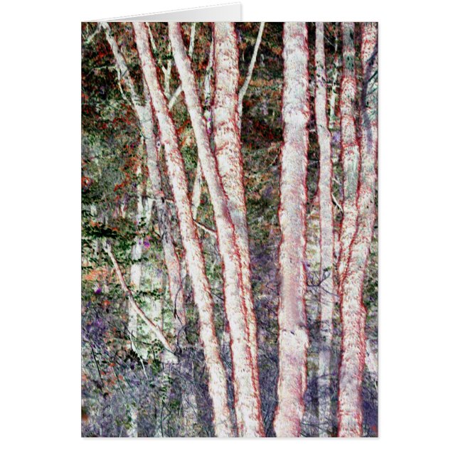 Árboles de borde rojo (Frente)