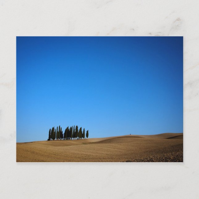 Árboles de cipreses en la postal toscana (Anverso)