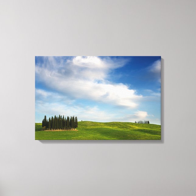 Árboles de cipreses en lienzo toscano (Anverso)