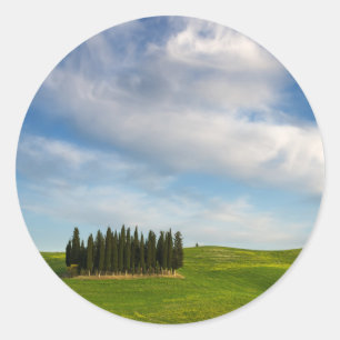 Árboles de cipreses en pegatina redondo toscano