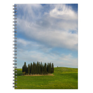 Árboles de Cypress en el cuaderno de Toscana