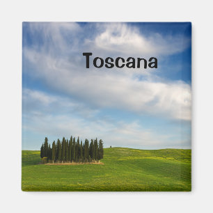 Árboles de Cypress en imán del texto de Toscana