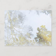 Árboles de hoja ancha reflejados en postal sobre e