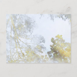 Árboles de hoja ancha reflejados en postal sobre e