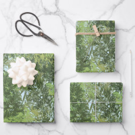 Árboles de hojas verdes con cielo azul que alcanza