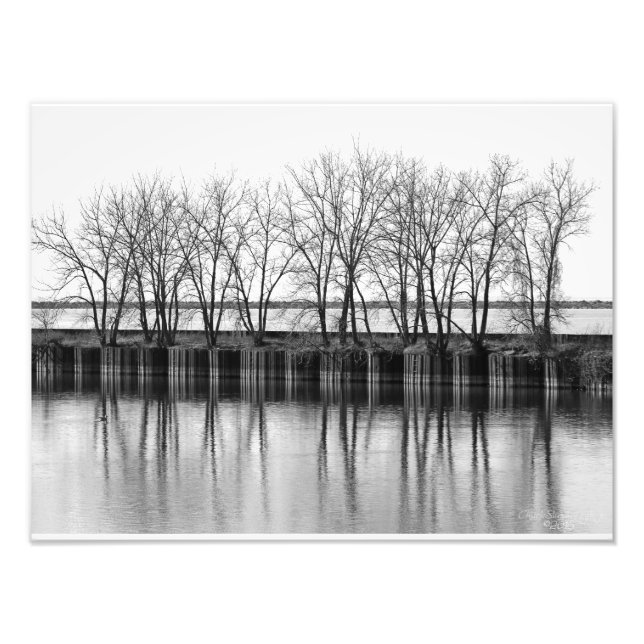 Árboles de invierno junto al agua, foto impresa de (Frente)