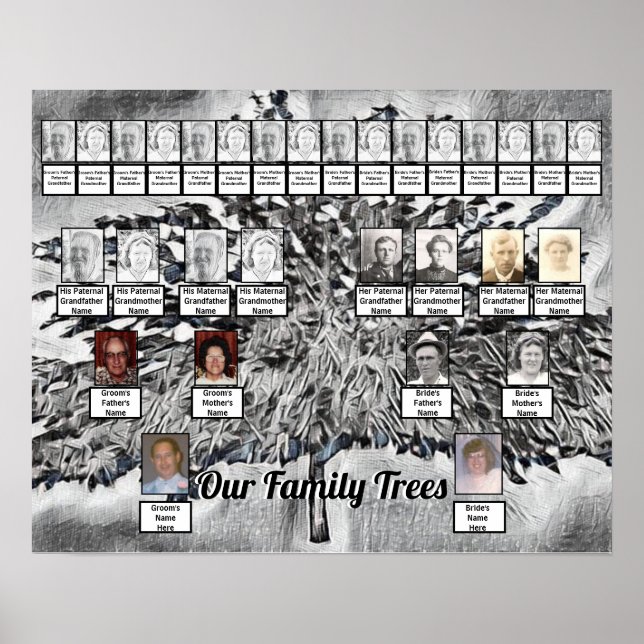 Árboles de la familia fotográfica sobre arte digit (Frente)