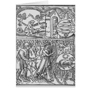 Árboles de marzo, de la pesca y de la poda, Pisci