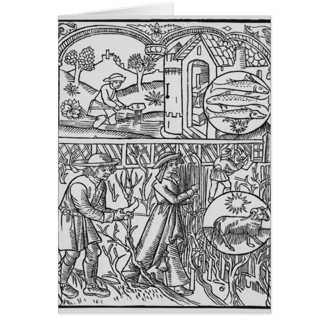 Árboles de marzo, de la pesca y de la poda, Piscis (Frente)