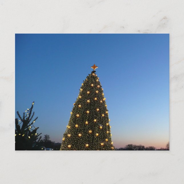 Árboles de Navidad grandes y pequeños que celebro  (Anverso)