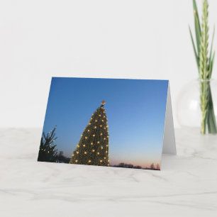 Árboles de Navidad grandes y pequeños que celebro 