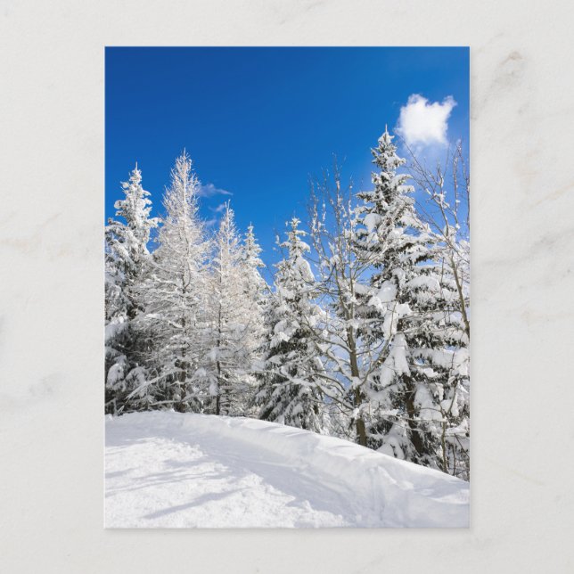 Árboles de nieve bajo una postal azul claro (Anverso)