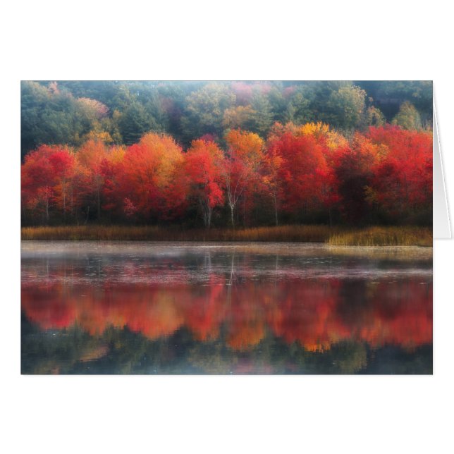 Árboles de Octubre (Anverso (Horizontal))