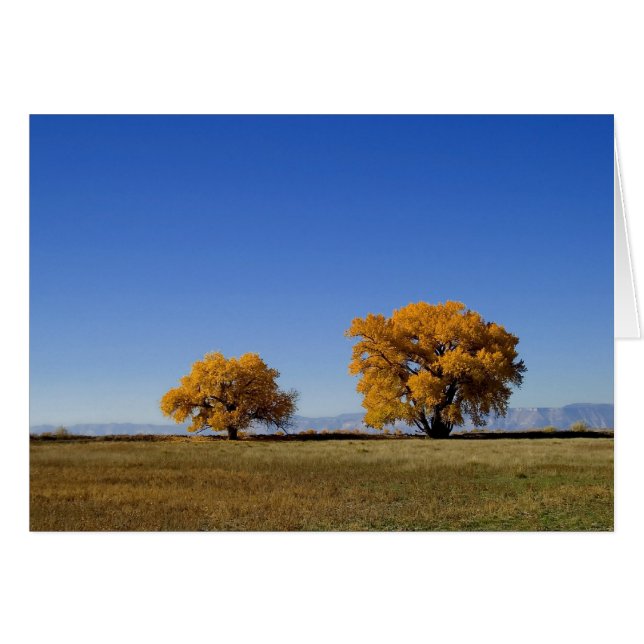 Árboles de oro (Anverso (Horizontal))