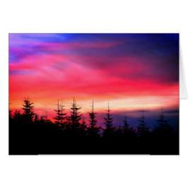 Árboles de pino bajo el atardecer de Oregón