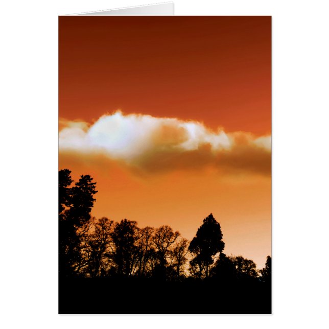 Árboles de sol (Frente)