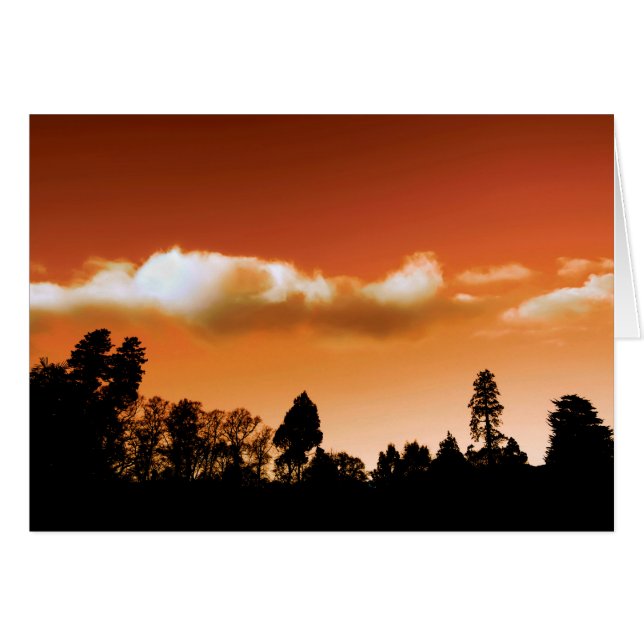 Árboles de sol (Anverso (Horizontal))