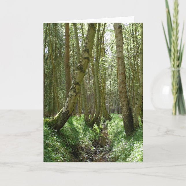 Árboles de Woodland - tarjetas de felicitación (Anverso)
