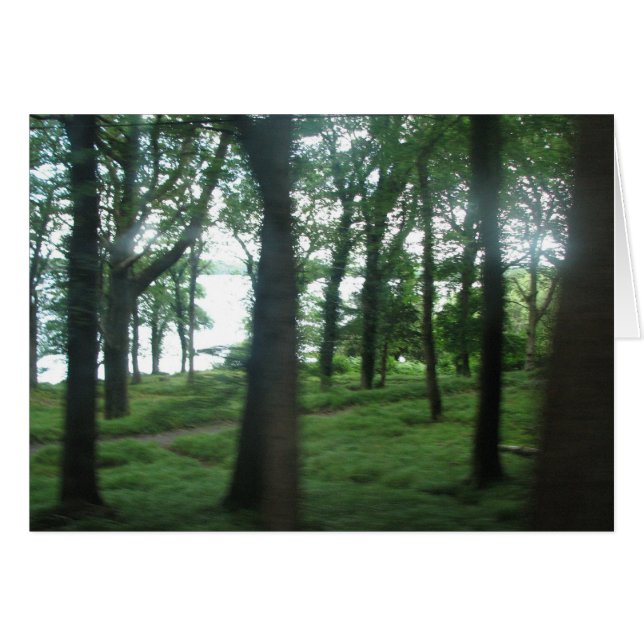 Árboles del condado de Kerry (Anverso (Horizontal))