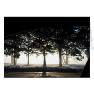 Árboles del invierno del coche