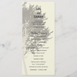 Árboles del invierno que casan programa