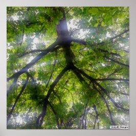 Árboles del Sol (Ohio) - Póster