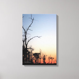 Árboles Desnudos al Atardecer Impresión en Lienzo