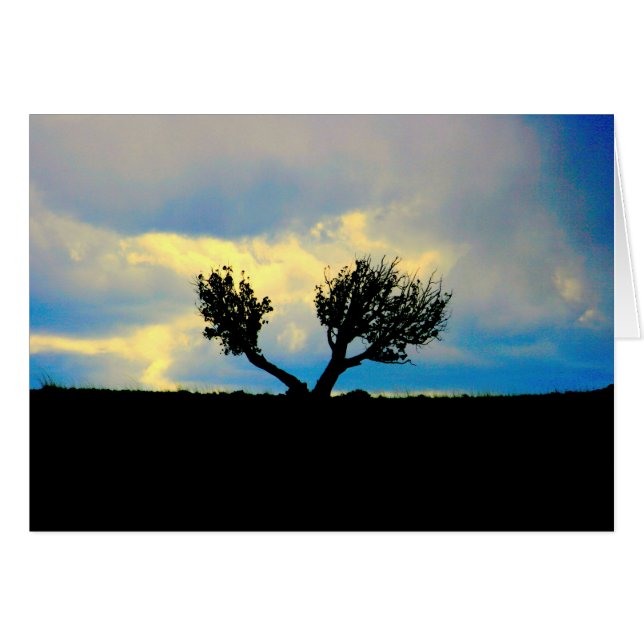 Árboles en el desierto (Anverso (Horizontal))
