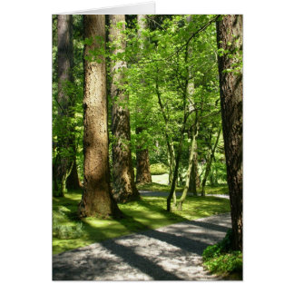 Árboles en el Jardín de Nitobe
