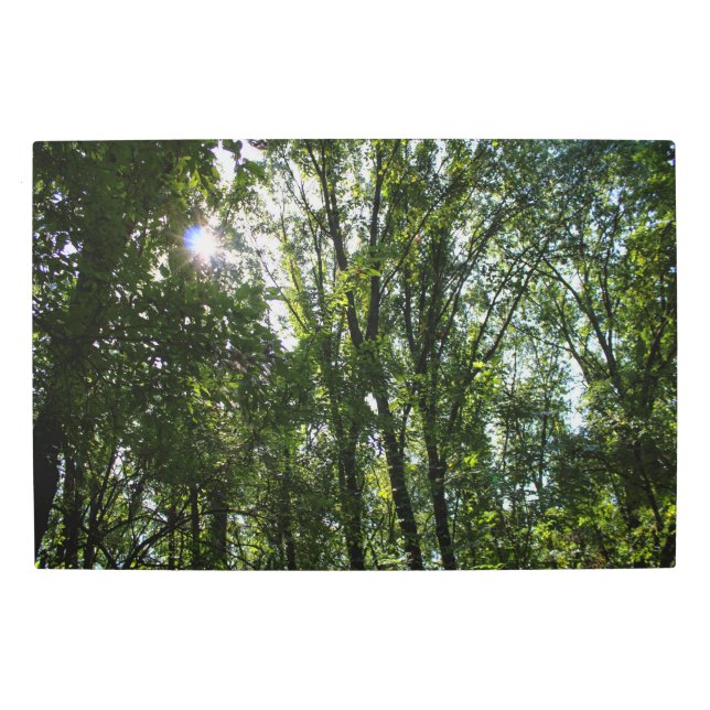 Árboles en el parque Harral arte en el muro Metali (Anverso)