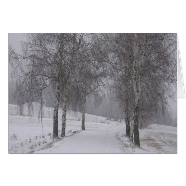 Árboles en invierno (Anverso (Horizontal))
