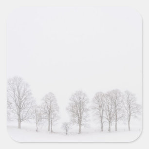 Árboles en invierno en un mundo blanco pegatina