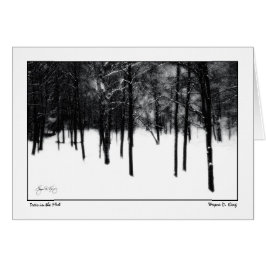 Árboles en la niebla