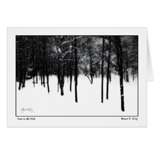 Árboles en la niebla (Anverso (Horizontal))