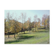 Árboles en la tarjeta postal de la pendiente 2004