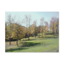 Árboles en la tarjeta postal de la pendiente 2004