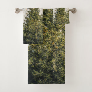 Árboles forestales de invierno #19