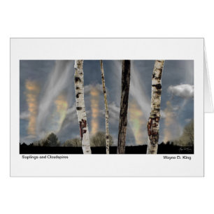 Árboles jóvenes y Cloudspires