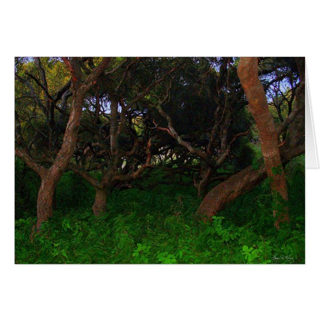 Árboles narguiles (Anverso (Horizontal))