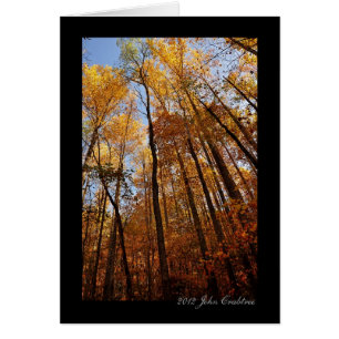 Árboles naturales de Elkmont en los Smokies