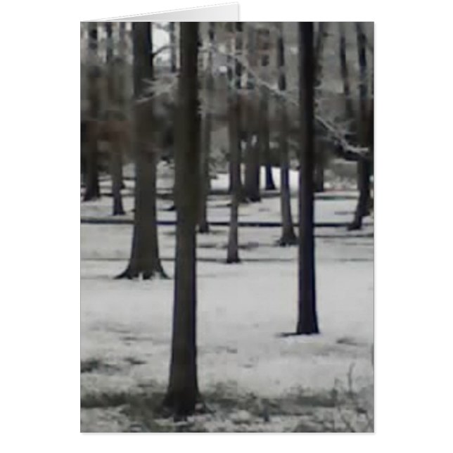 Árboles nevados (Frente)