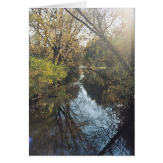 Árboles que reflejan el agua