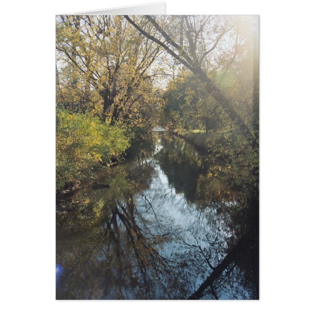 Árboles que reflejan el agua (Frente)